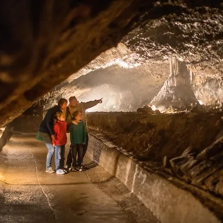 Les Lilas * Marche-en-Famenne