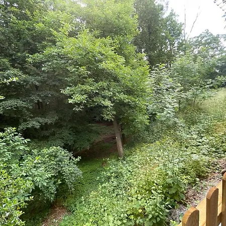 Ferienhaus Les Lilas *